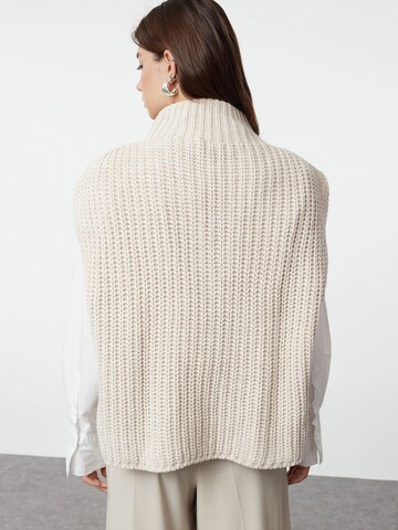 Trendyol Pullover in Grau