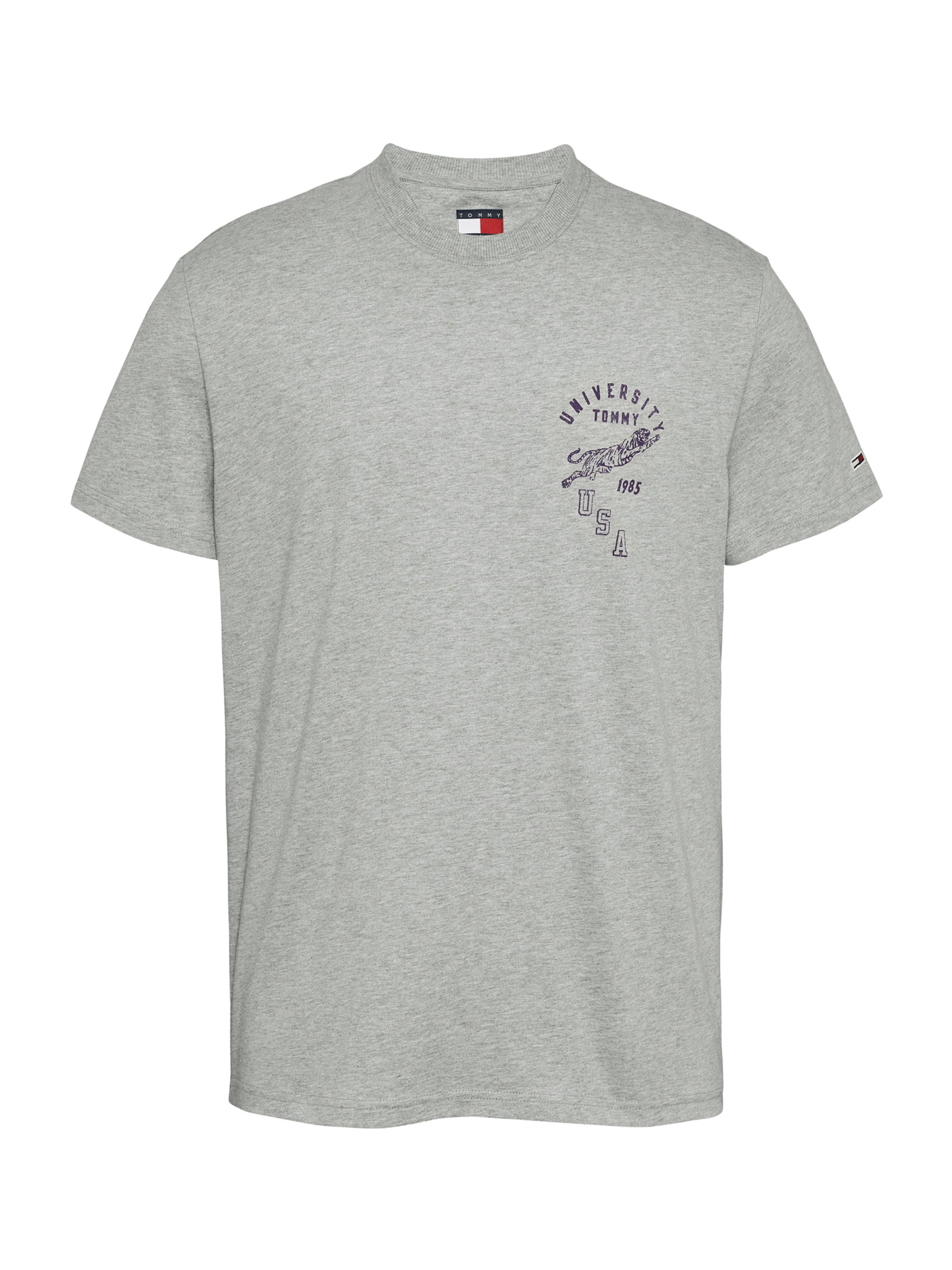 Maglietta di Tommy Jeans in grigio: frontale