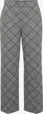 STEHMANN Regular Pants in Grey: front