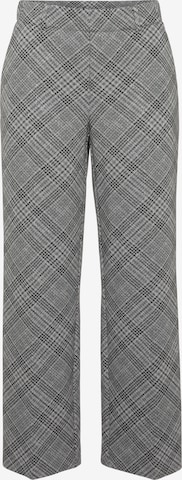 STEHMANN Regular Pants in Grey: front