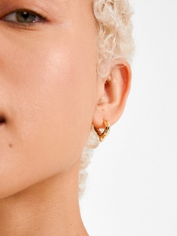 Pilgrim Ohrringe 'Iris' in Gold: Vorderseite