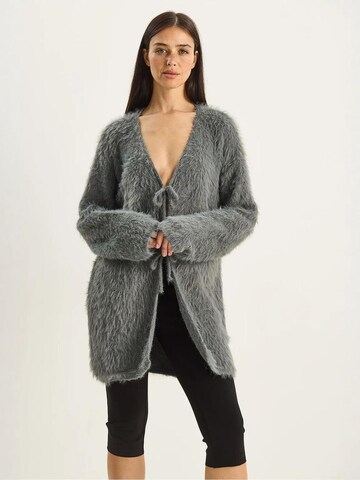 Bianco Lucci Gebreid vest in Grijs