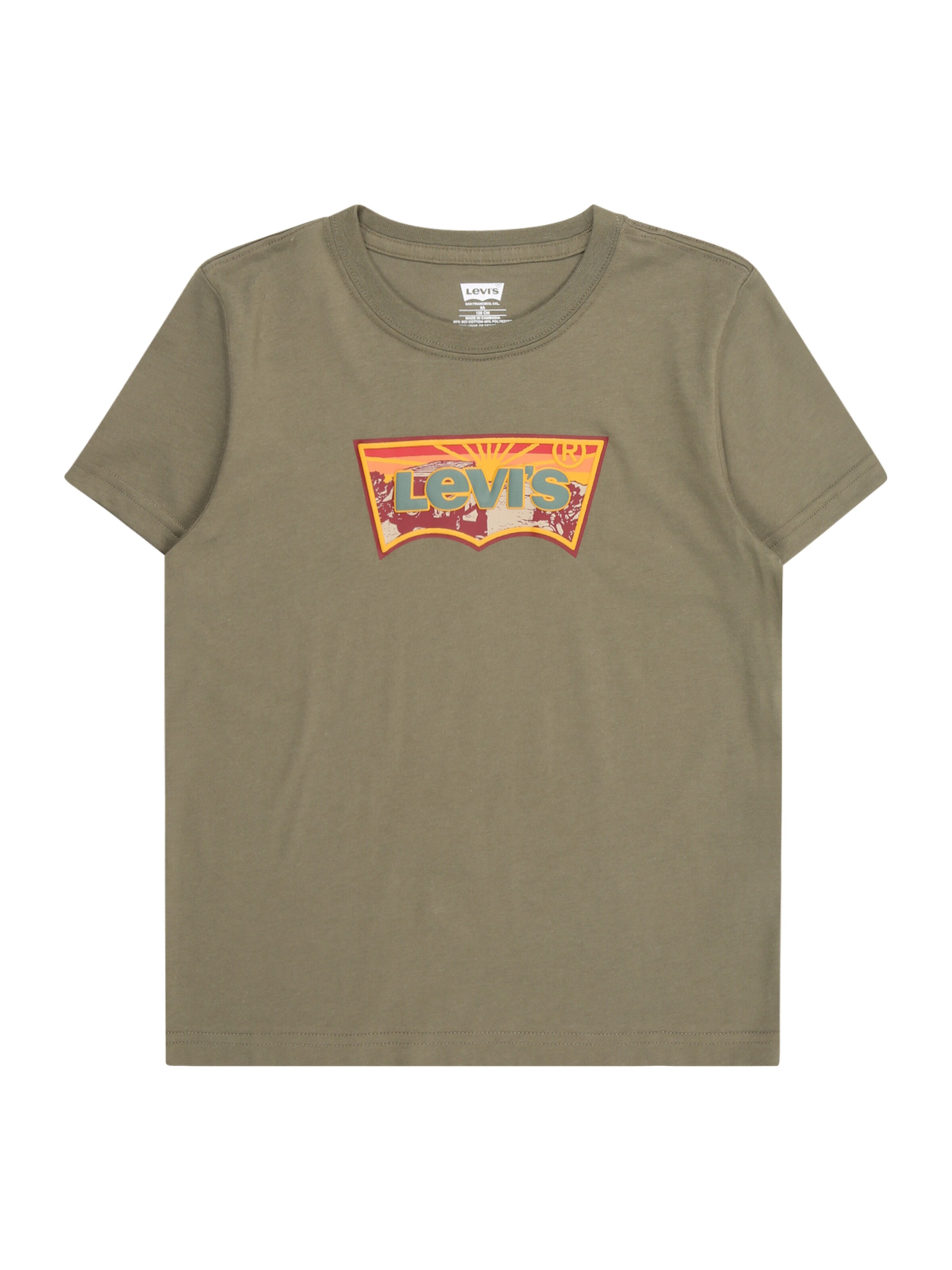 Tricou 'SUNRISE DESERT' de la Levi's Kids pe verde: față