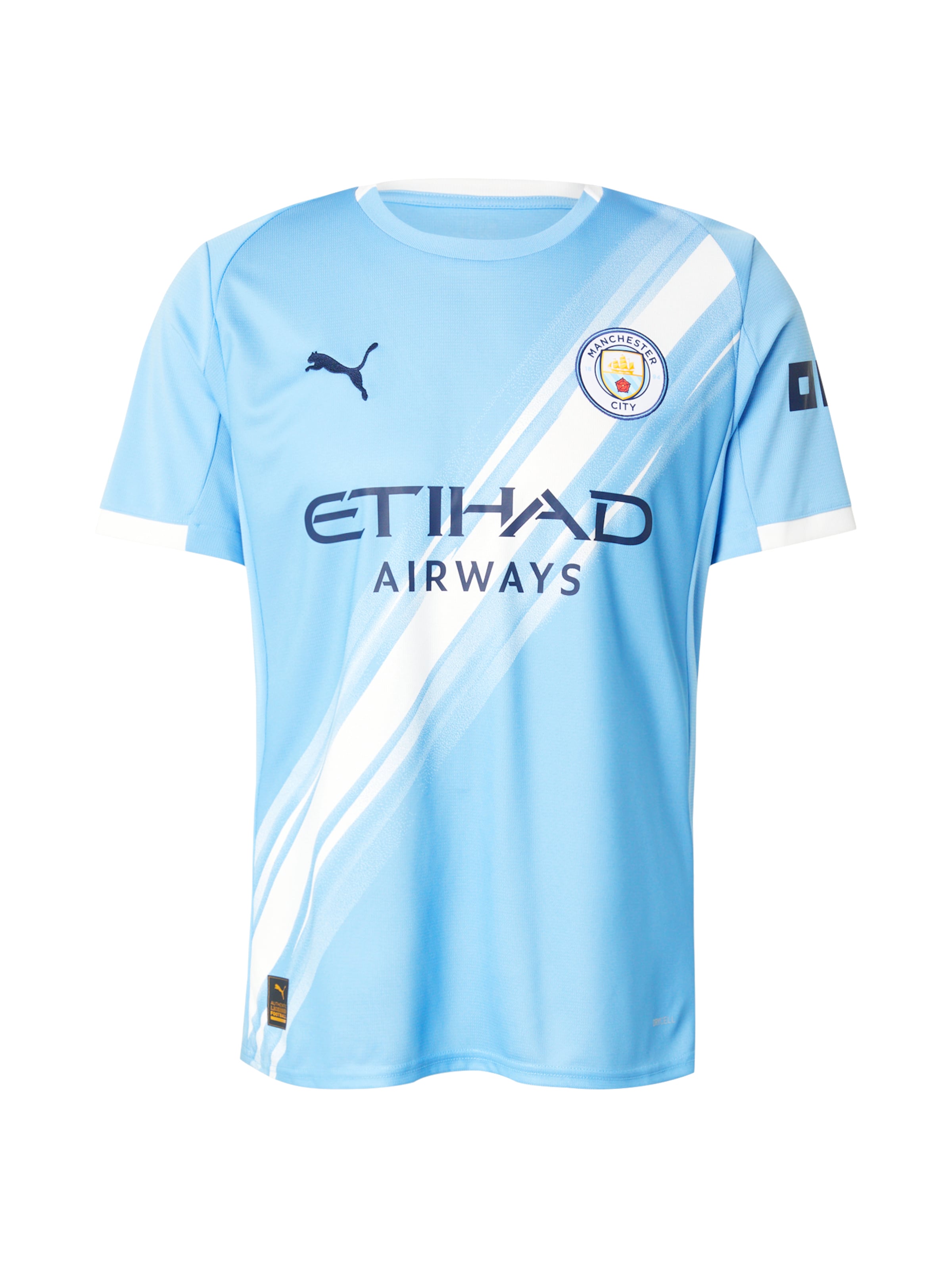 PUMA Jersey 'Manchester City 25/26' in Blue: front