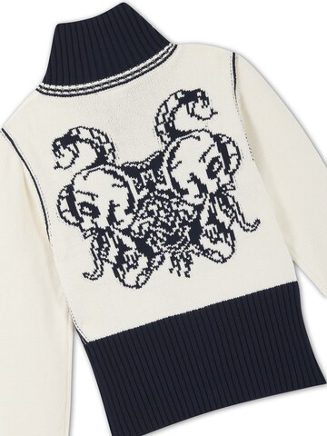 Veste d’hiver Ed Hardy en bleu