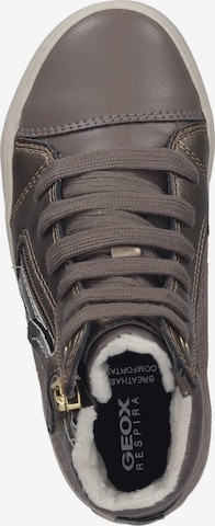 GEOX Sneaker in Grau