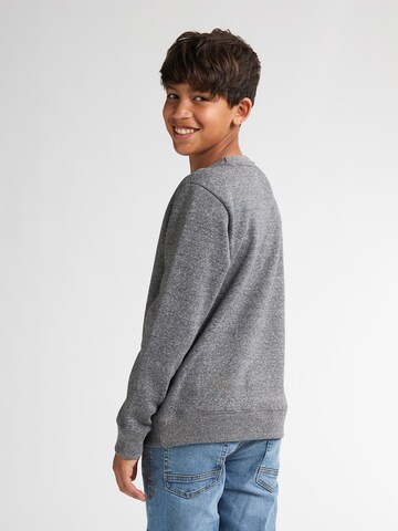 Petrol Industries Sweatshirt in Grijs