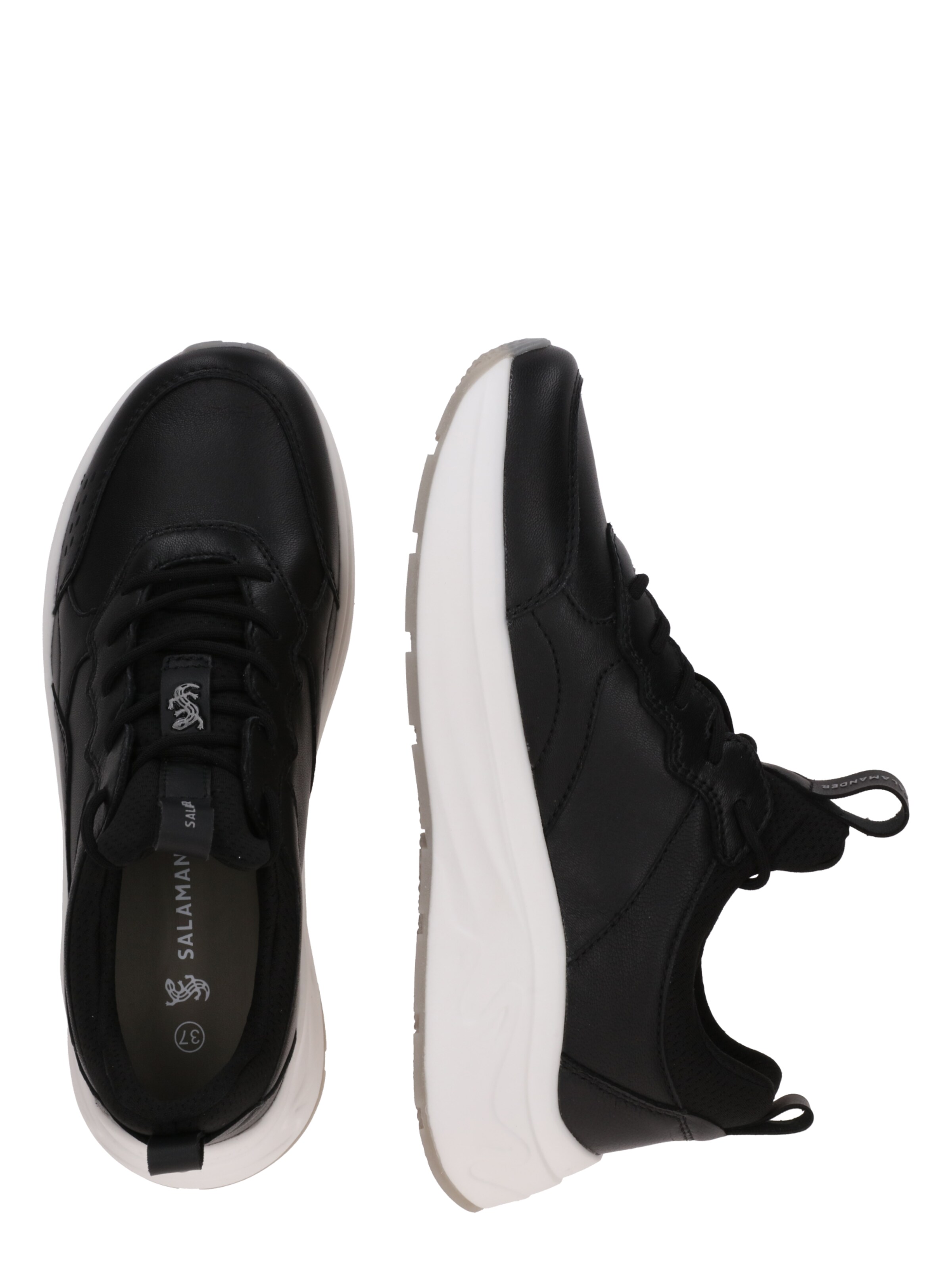 Sneaker bassa di SALAMANDER in nero