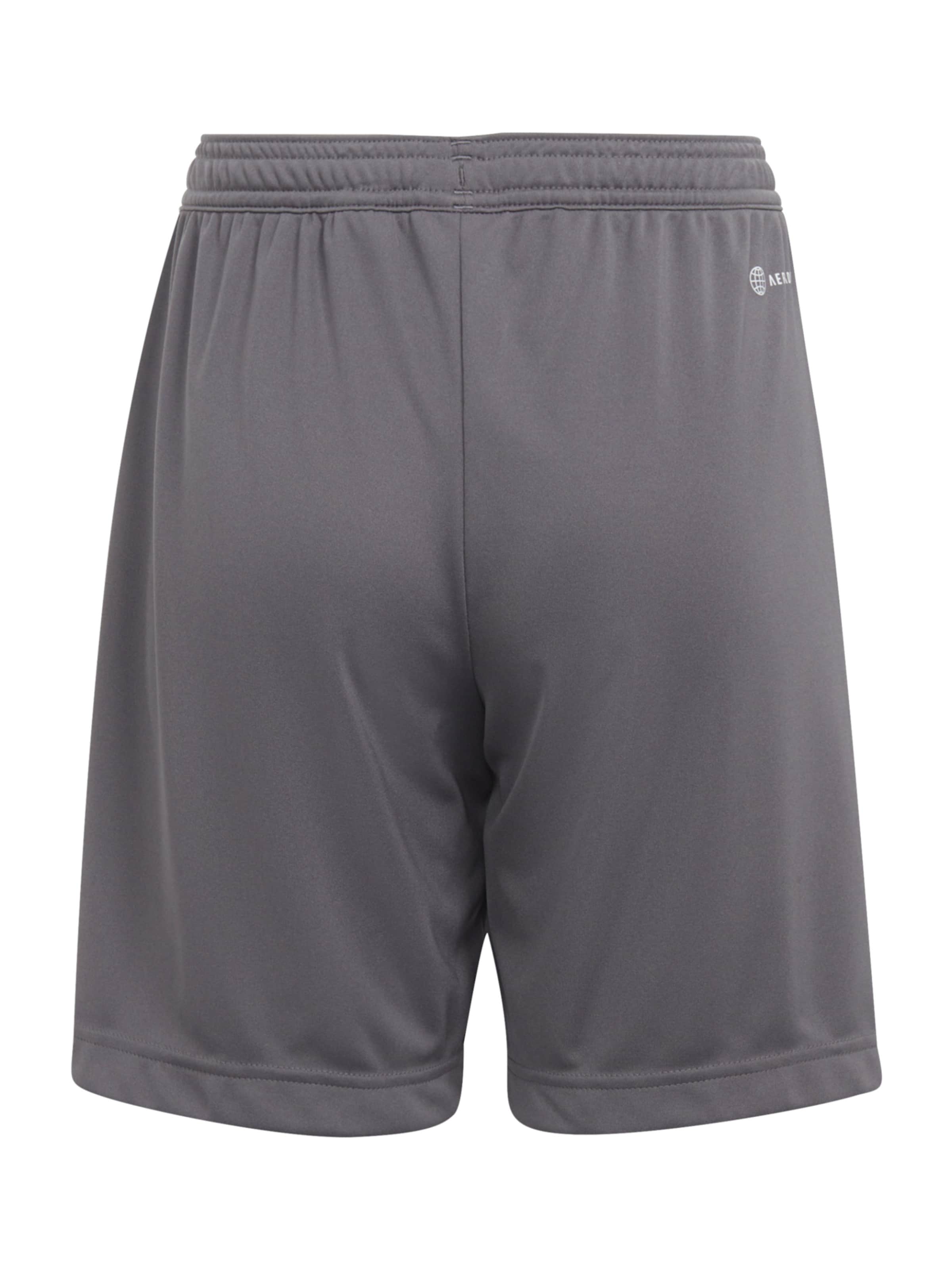 ADIDAS PERFORMANCE regular Παντελόνι φόρμας 'Entrada 22' σε γκρι