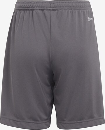 regular Pantaloni sportivi 'Entrada 22' di ADIDAS PERFORMANCE in grigio