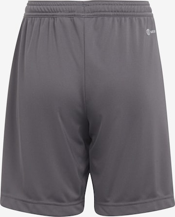 ADIDAS PERFORMANCE Regular Workout Pants 'Entrada 22' in Grey