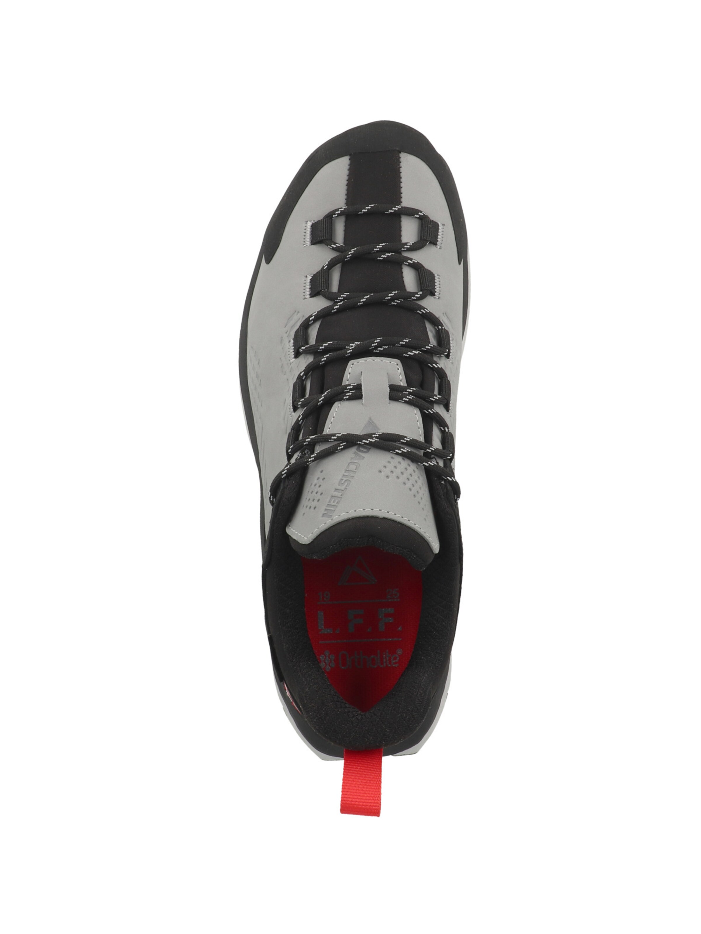 Chaussure basse 'Silvretta LC GTX' STEVE MADDEN en gris
