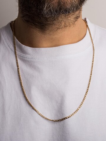 Akitsune Kette in Gold