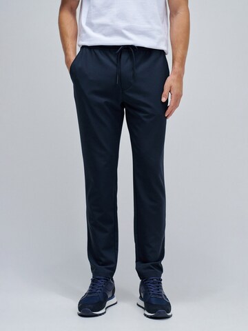 Salsa Jeans Regular Broek in Blauw: voorkant