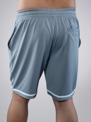 PANTONECLO Boardshorts 'Pantoneclo Men’s Gym Shorts' in Grijs