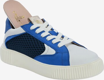 Crickit Sneaker low 'OTIS' in Blau