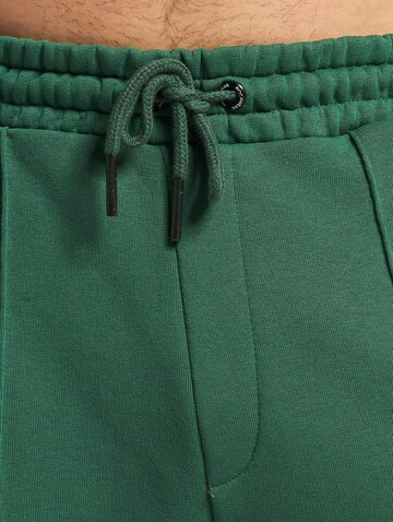 ROCAWEAR Regular Bundfaltenhose 'ExcuseMe' in Grün