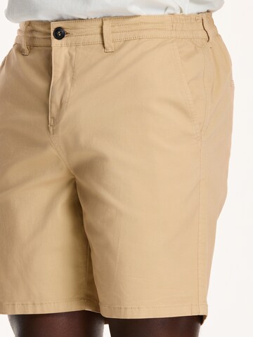 Shiwi Regular Chino trousers 'Jack' in Beige