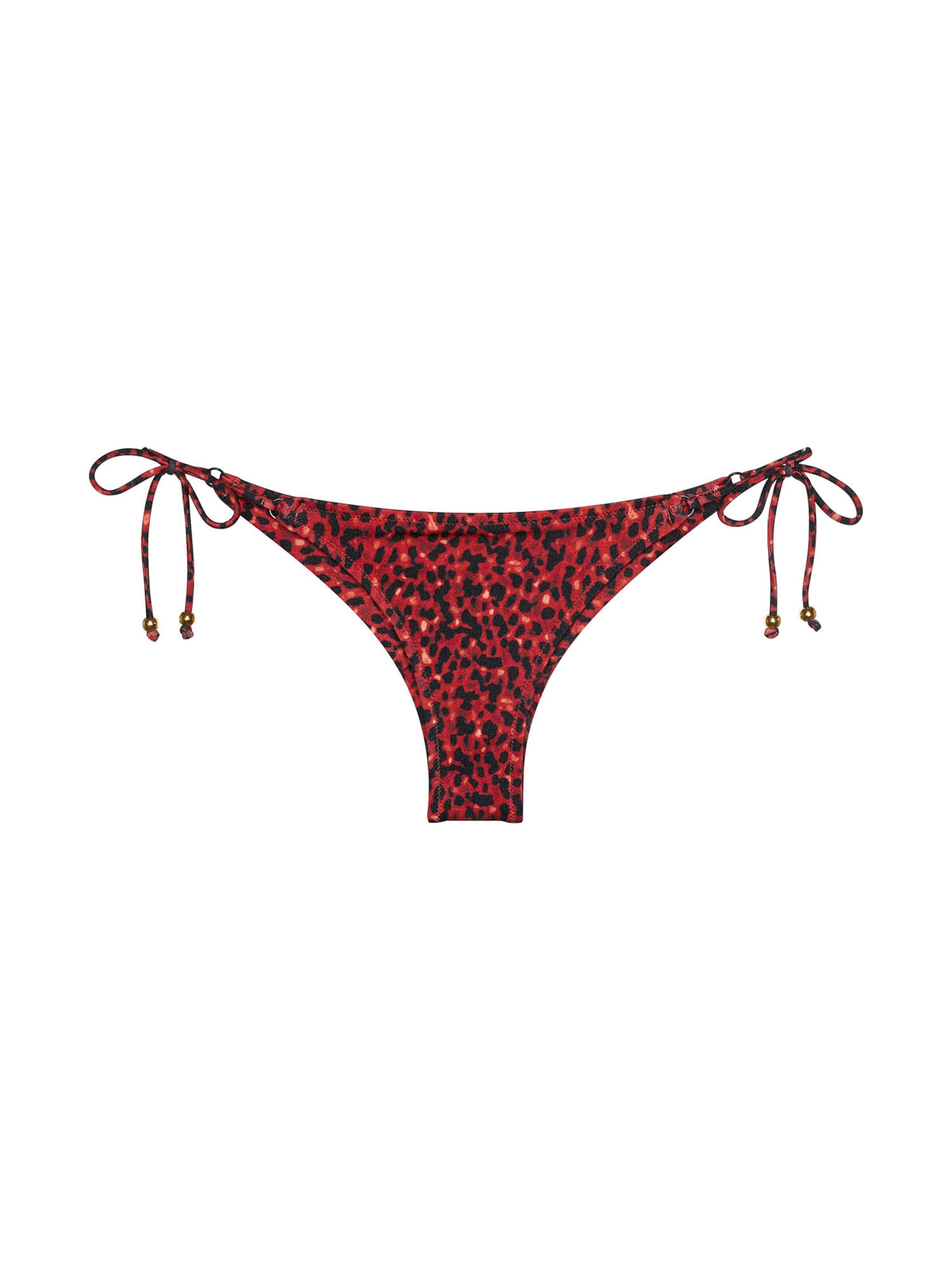 TRIUMPH Bikini bottom ' Red Label Midnight Swim ' in Brown: front