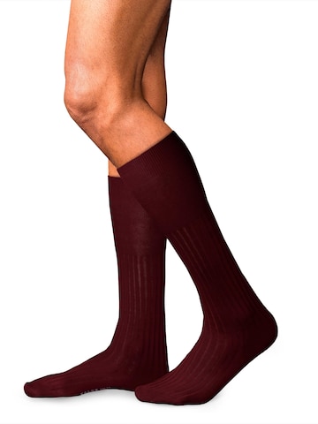FALKE Knee High Socks 'No. 13 Finest Piuma Cotton' in Red