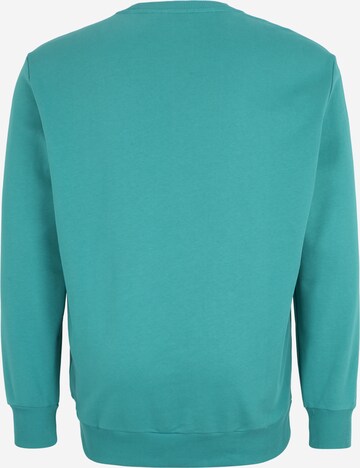 Calvin Klein Big & Tall Sweatshirt in Green