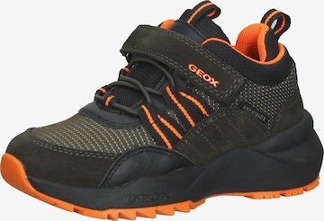 GEOX Sneaker in Grün: predná strana