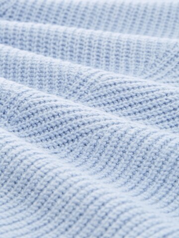 TOM TAILOR Trui in Blauw