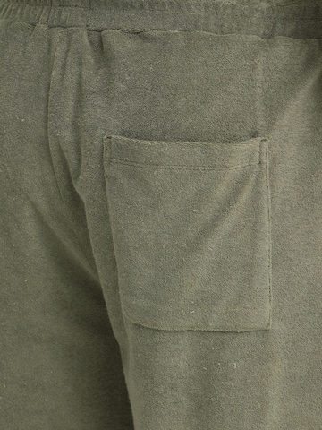 Loosefit Pantaloni ' BHBasti ' di BLEND in verde