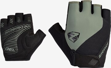 ZIENER Athletic Gloves 'COLLBY' in Green: front