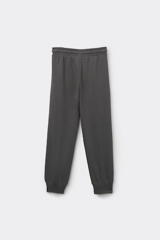 Tezenis Tapered Pants in Grey
