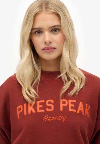Sweat-shirt Superdry en marron