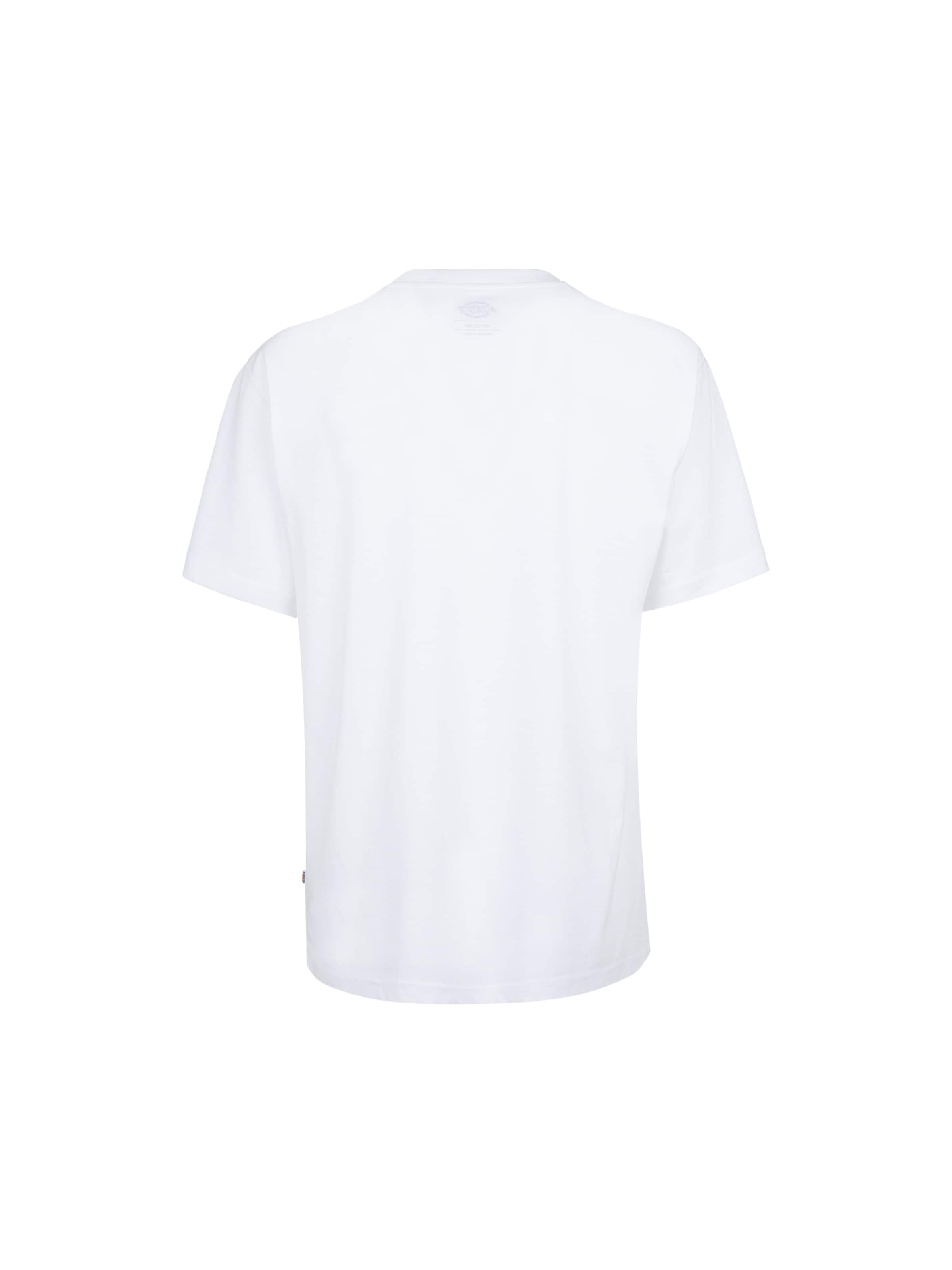 DICKIES Футболка 'Summerdale' в Белый