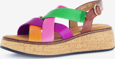 GABOR Sandale in braun / hellgrün / lila / orange, Produktansicht