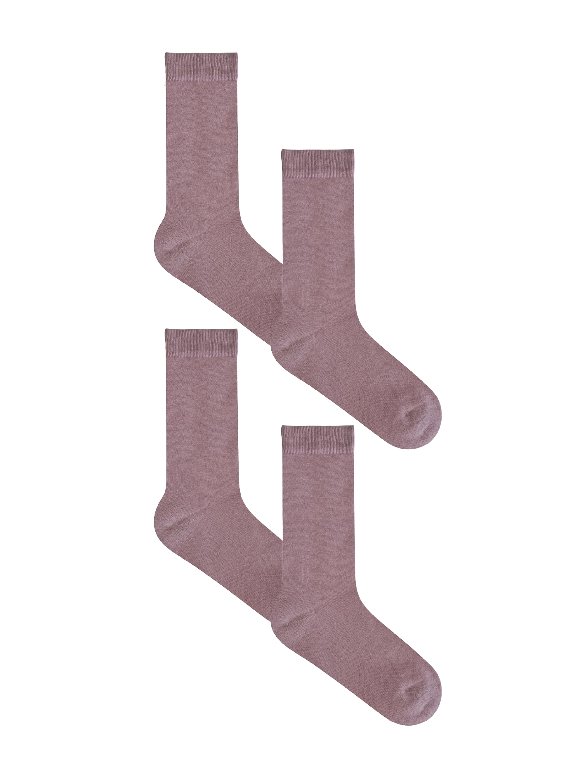 Albero Natur Socks 'Classic' in Purple: front