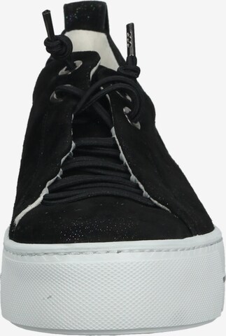 Sneaker bassa di Paul Green in nero