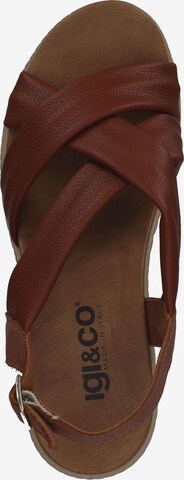 IGI&CO Strap Sandals in Brown