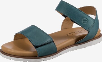 Paul Vesterbro Strap Sandals in Blue: front