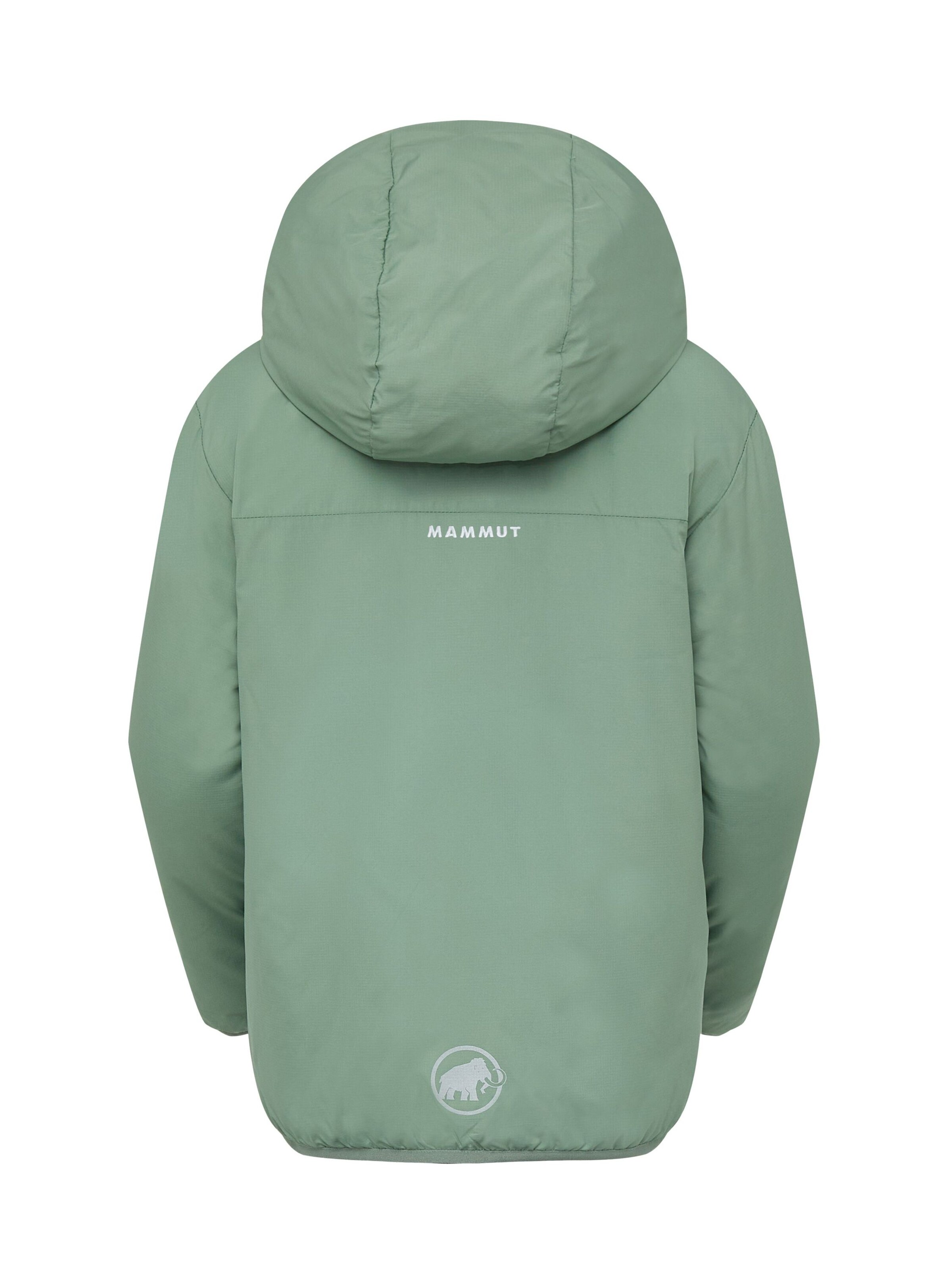 MAMMUT Outdoor jacket 'Rime IN' in Green