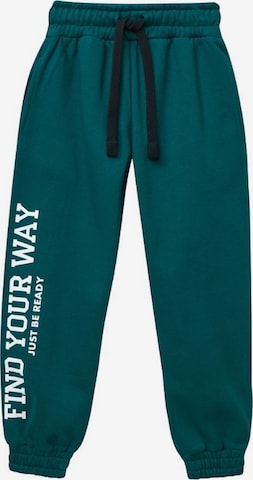 WINKIKI Regular Hose in Grün: Vorderseite