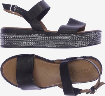INUOVO Sandals & High-Heeled Sandals in 40 in Black: front