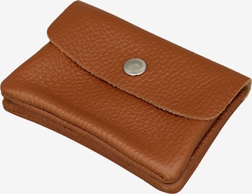 Adel Bags Wallet 'Mini' in Brown: front
