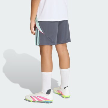 ADIDAS PERFORMANCE Regular Sportshorts 'Messi' in Grau