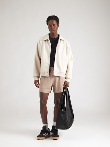 HOLLISTER Avar lõige Püksid, värv pruun