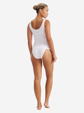 ADIDAS PERFORMANCE Panty in Mixed colors