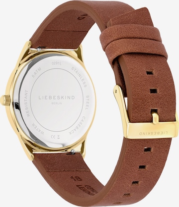 Liebeskind Berlin Analog Watch in Brown