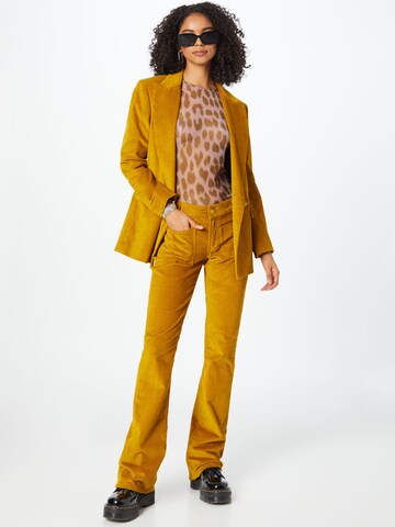 Dondup Flared Pants 'NEW MOLLY' in Yellow