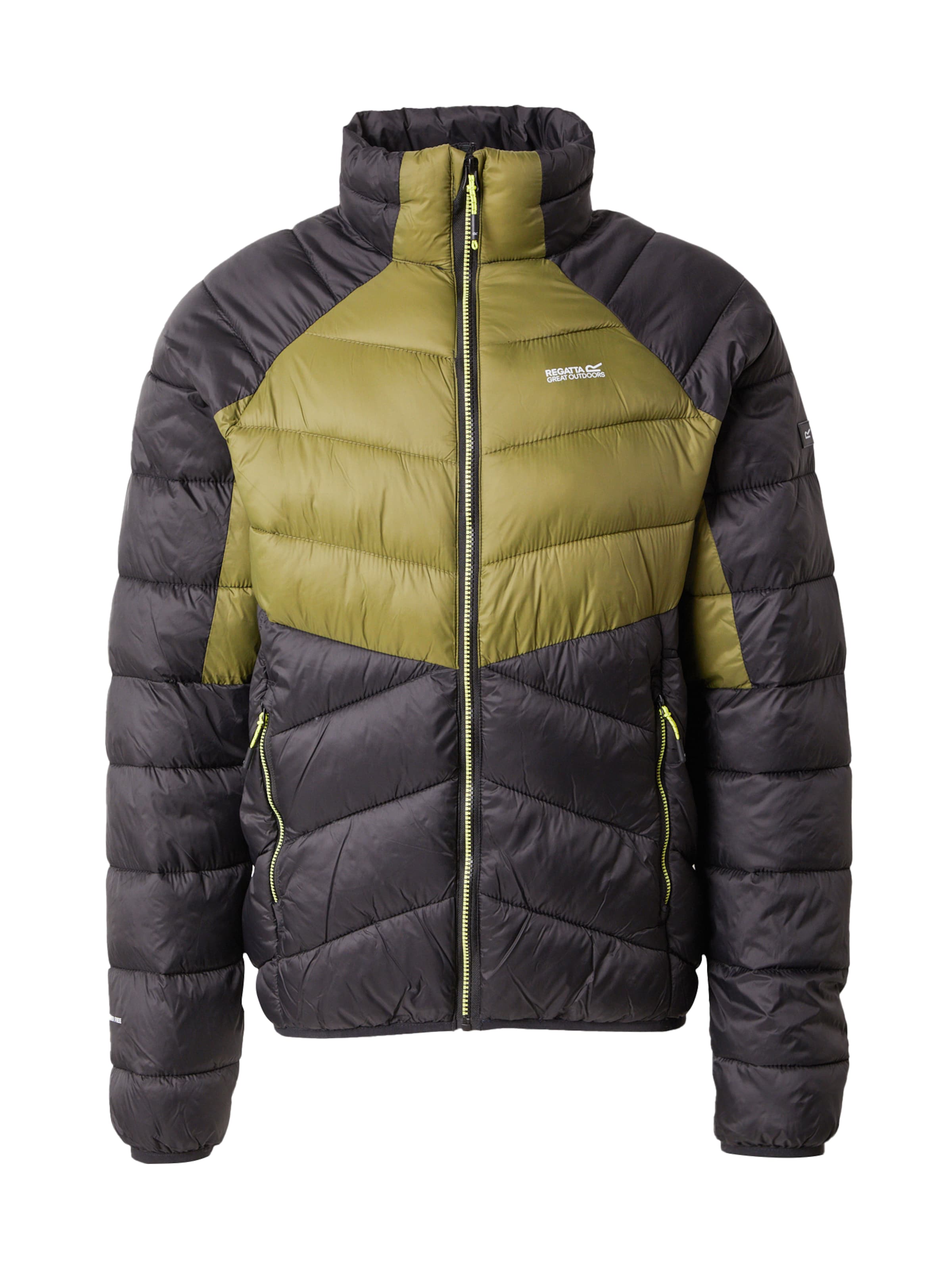 REGATTA Outdoor jacket 'Dalent' in Green: front