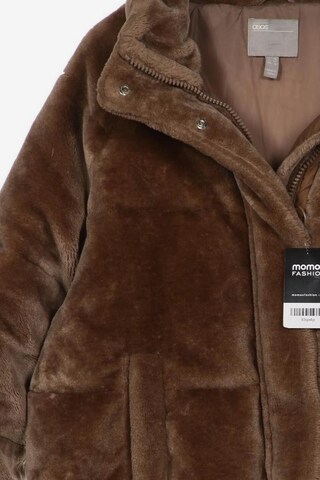 Asos Jacket & Coat in XL in Brown