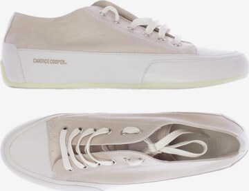 Candice Cooper Sneakers & Trainers in 41 in Beige: front