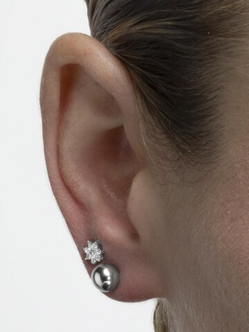Luxenter Oorbellen 'Gnis' in Zilver